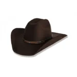 Sombrero Negro Vaquero